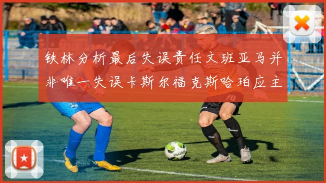 铁林分析最后失误责任文班亚马并非唯一失误卡斯尔福克斯哈珀应主动接球