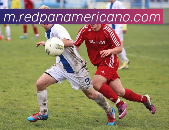 AI Risk Control